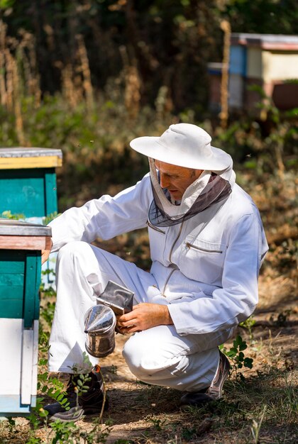 Beekeeper working collect honey Beekeeping concept