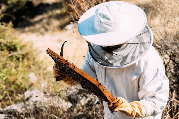 Beekeeper working collect honey. Beekeeping concept.