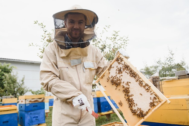 Beekeeper working collect honey Beekeeping concept