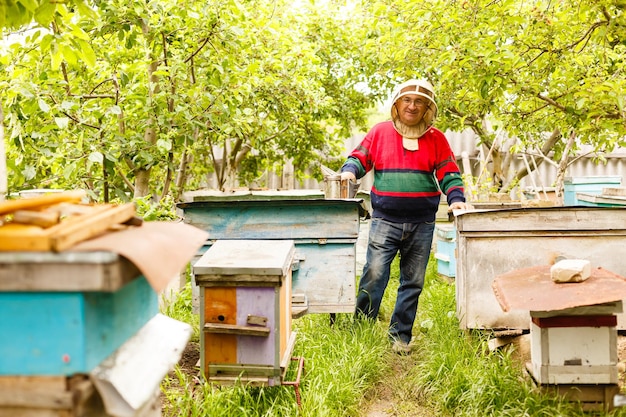 Beekeeper working collect honey. Beekeeping concept.