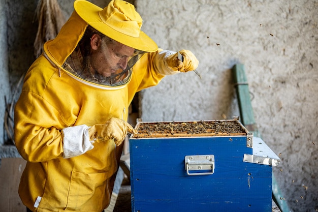 養蜂家が養蜂家の養蜂の概念を調べて蜂蜜農家を収集するために働いています