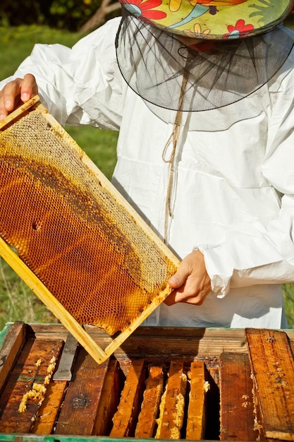 Beekeeper