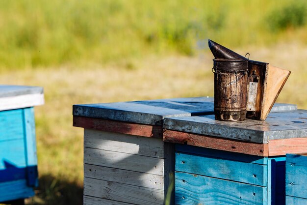 A beekeeping basic equipment bee smoker on the top of bee hive on a summer day