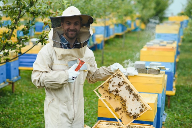 写真 飛行中のミツバチの仕事での養蜂家