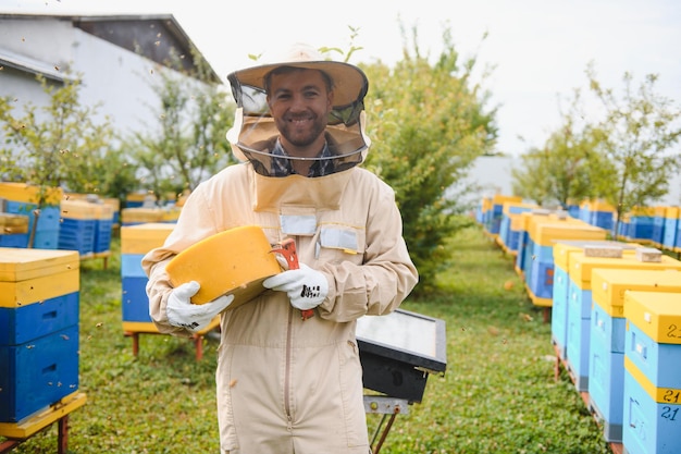 写真 飛行中のミツバチの仕事での養蜂家