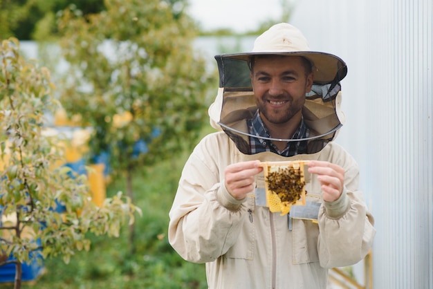 Beekeeping beekeeper at work bees in flight