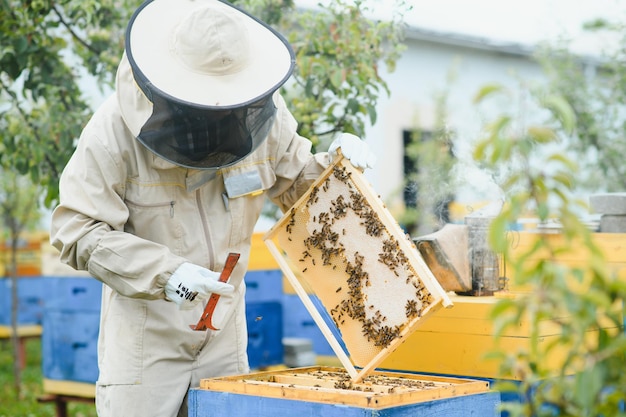 飛行中のミツバチの仕事での養蜂家