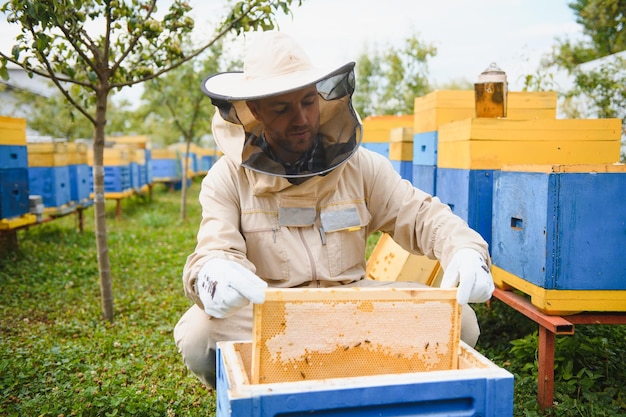 Foto apicoltore di apicoltura al lavoro api in volo