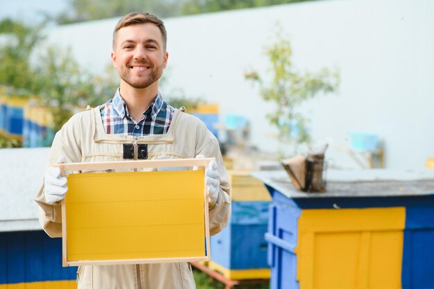 Apicoltore di apicoltura al lavoro api in volo