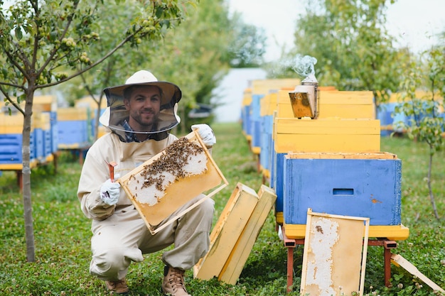 Beekeeping beekeeper at work bees in flight