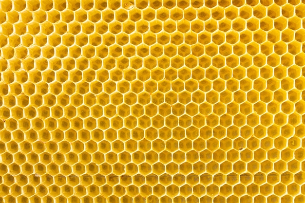 Пчеловодство крупным планом ячеек рамы, частично заполненных медом
