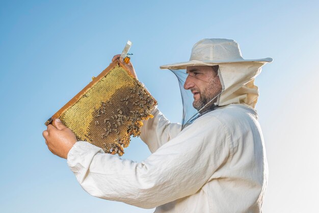 Beekeeping