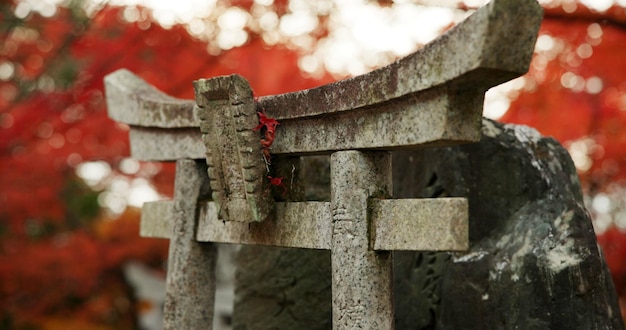 Beeld of heiligdom in het bos met spirituele geschiedenis Japanse cultuur en vintage kunst in de natuur Reizen herkenningspunt en steen nezu jinja beeldhouwwerk in het woud met stenen monument bomen en aanbidding van god