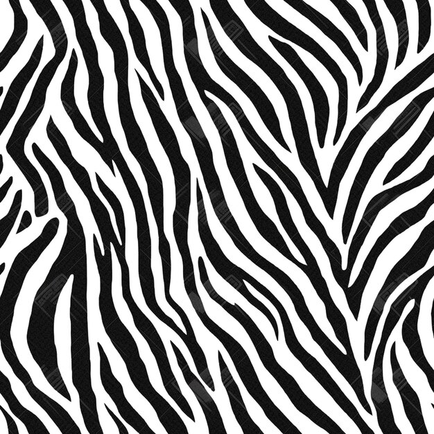 Foto beeld van de zebra