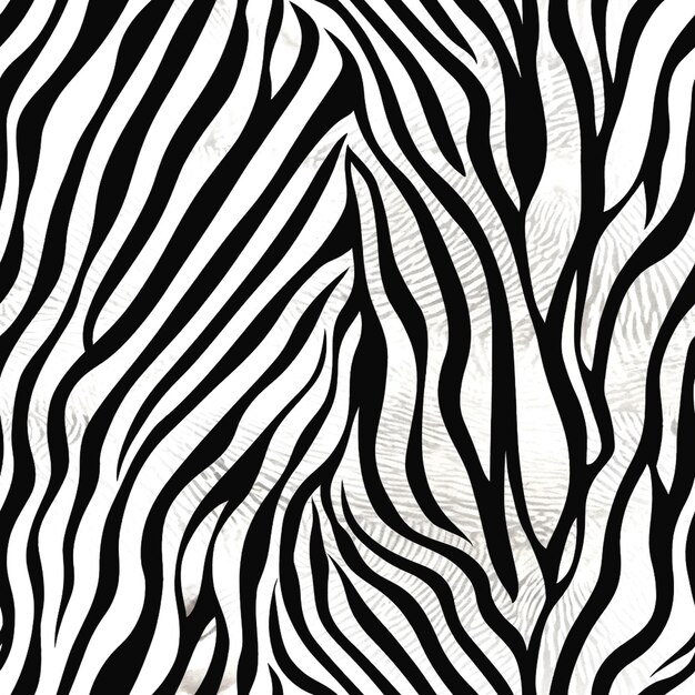 Foto beeld van de zebra