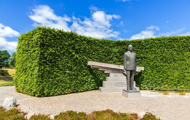 Foto beeld van planten tegen de lucht