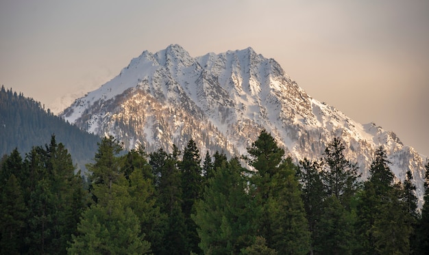 Beeld van sneeuwberg in Pahalgam, Kashmir