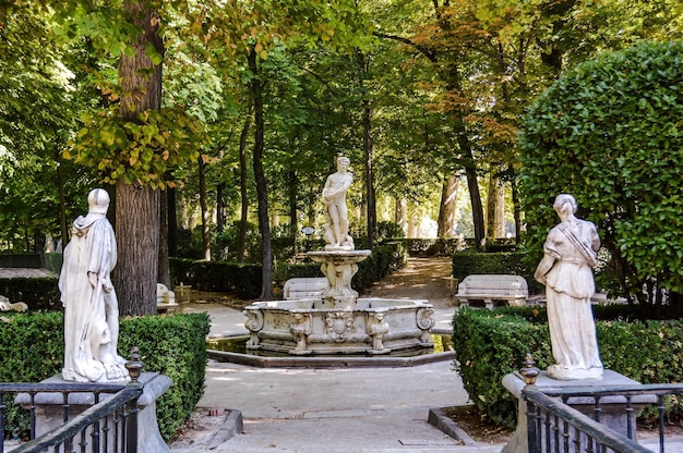 Beelden in het park