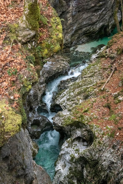 Beelden uit Bled, Slovenië, in de herfst en winter