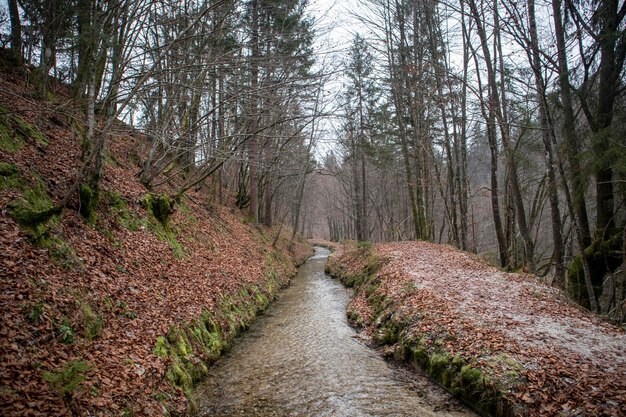 Beelden uit Bled, Slovenië, in de herfst en winter