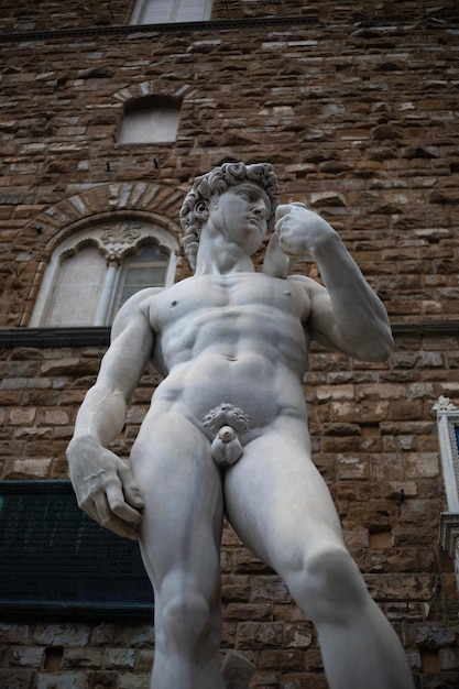 Beeldhouwwerk van David door Michelangelo in Piazza della Signoria in Florence