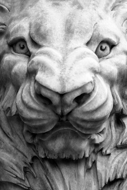 Beeldhouwwerk van de witte leeuw Toned Head close-up