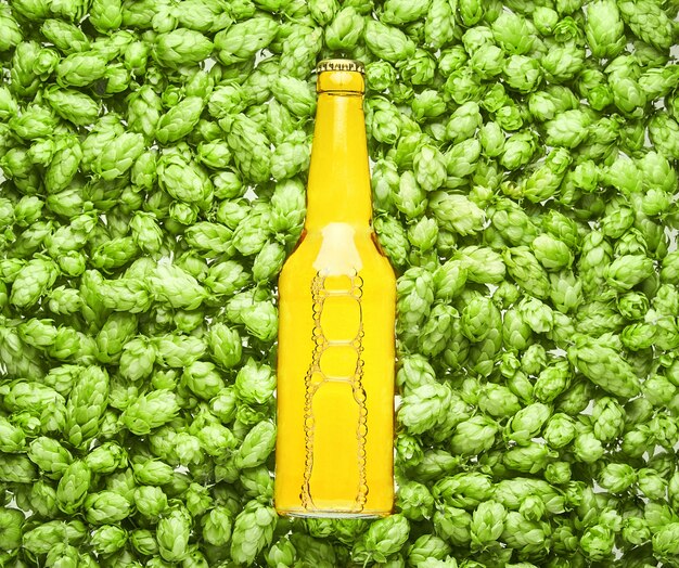 Beer bottle lies on hop cones, close up.