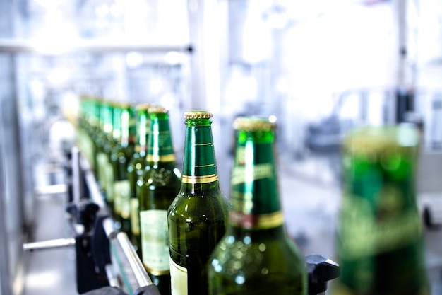 Beer bottles being transported on conveyer automated machine in beverage factory