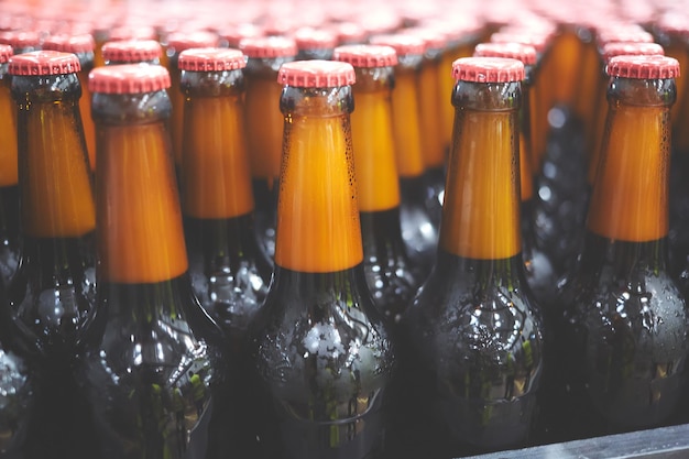 Photo beer bottles on the conveyor belt shallow dof selective focus