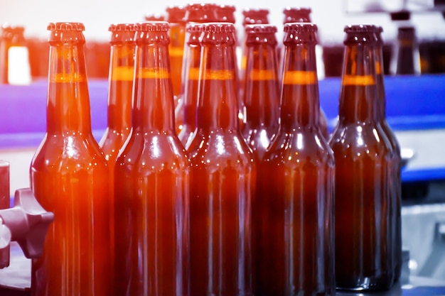 Beer bottles in filling process