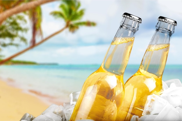 Beer bottles in ice on beach background