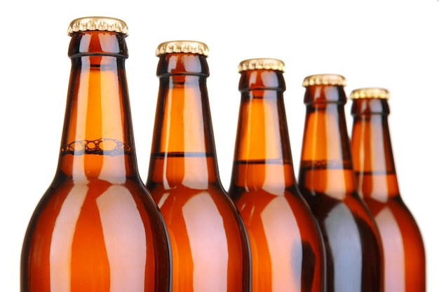 Beer bottles isolated on white