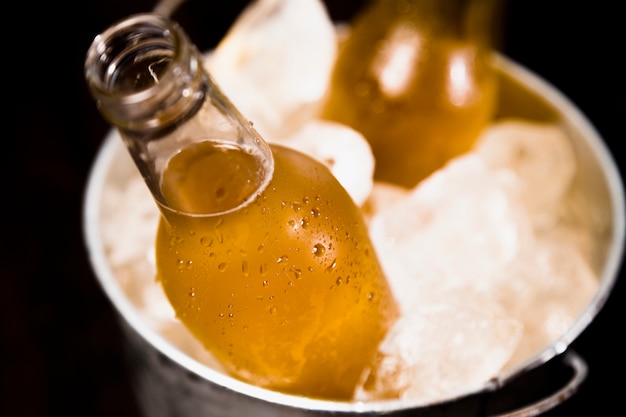 Photo beer bottles with ice