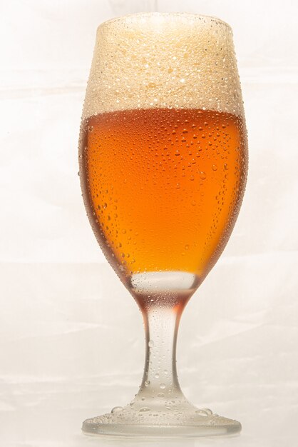 Beer, glass of cold beer with white background