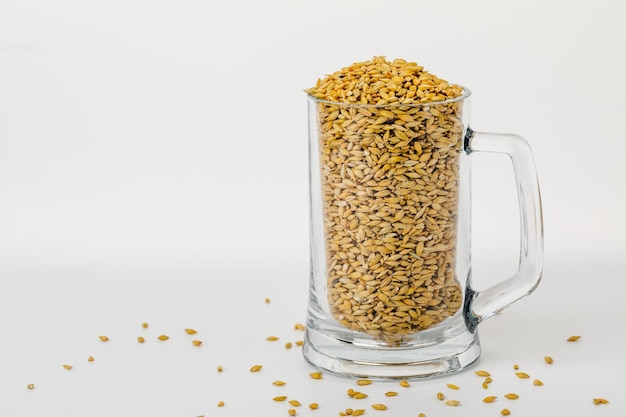 Beer glass filled with barley isolated on a white background