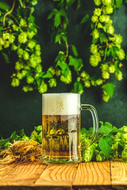 Beer and hop plant Still life with beer and hop plant in retro style Glass of cold foamy beer and hop on a dark background