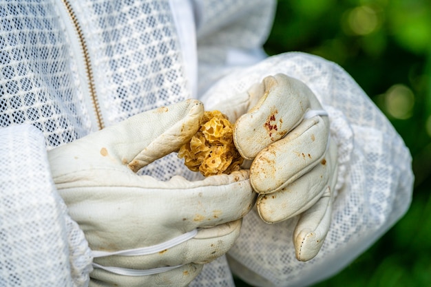 Beeswax in the hands of the beekeeper