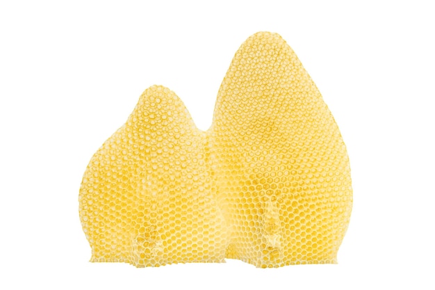 beeswax isolate beeswax filled with honey