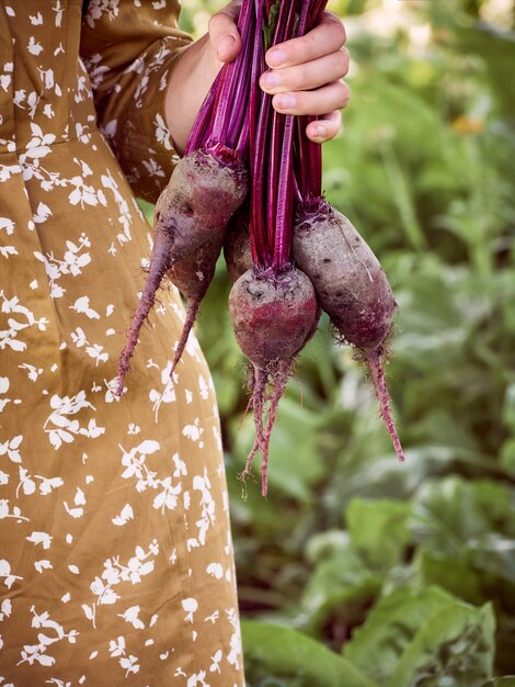 A beet in the hands of an woman farmer