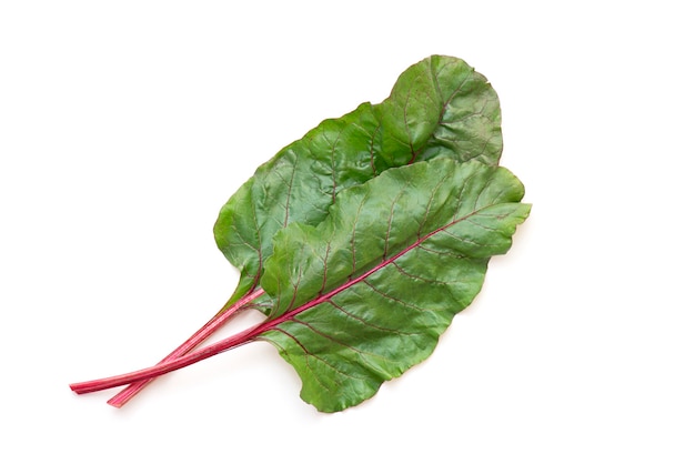 Beet leaves, beet foliage isolated on white. Top view.