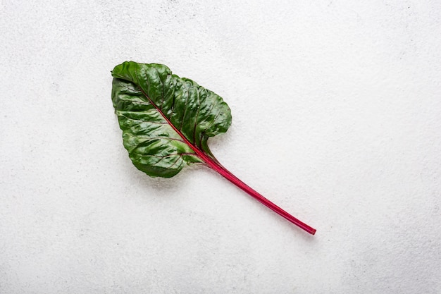 Beet tops one leaf on a white table top view