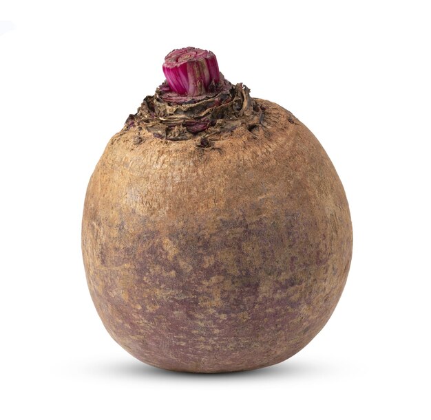 Beetroot isolated on white background