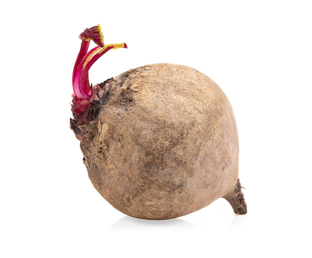 Beetroot isolated on white surface