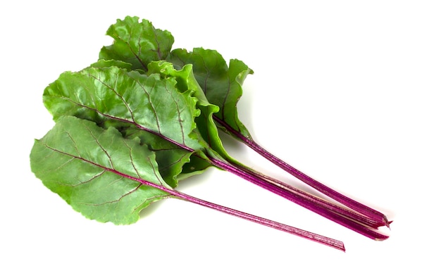 Beetroot leaves isolated on a white background Greens for salad and decoration of dishes