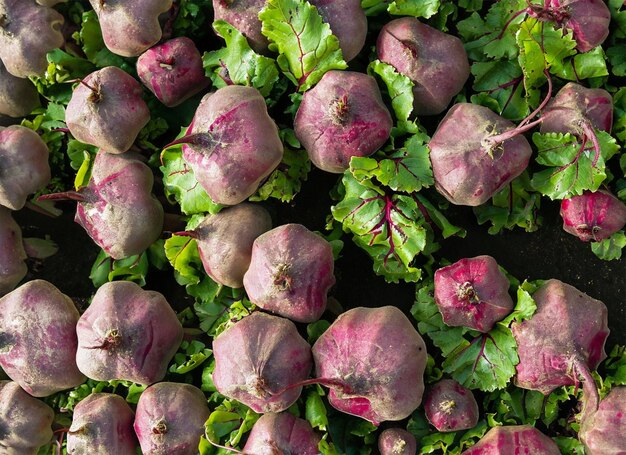 beetroot top view