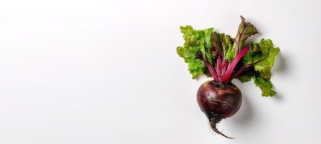 Beetroot on a white background top view Generative Ai