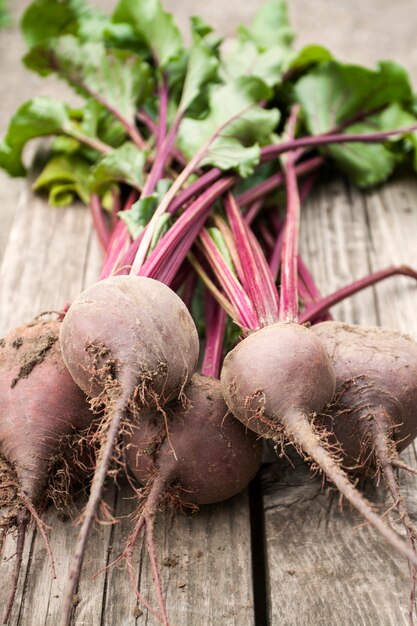 Beetroot