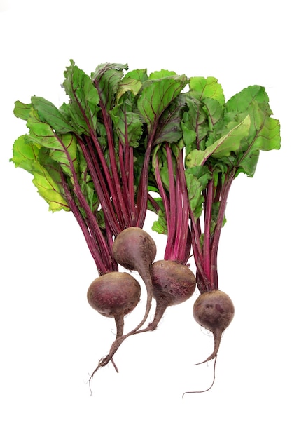 Beetroot