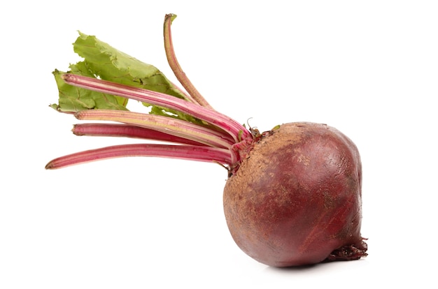 Photo beets on a white background