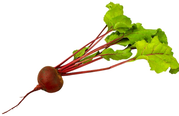 Beets with tops on white